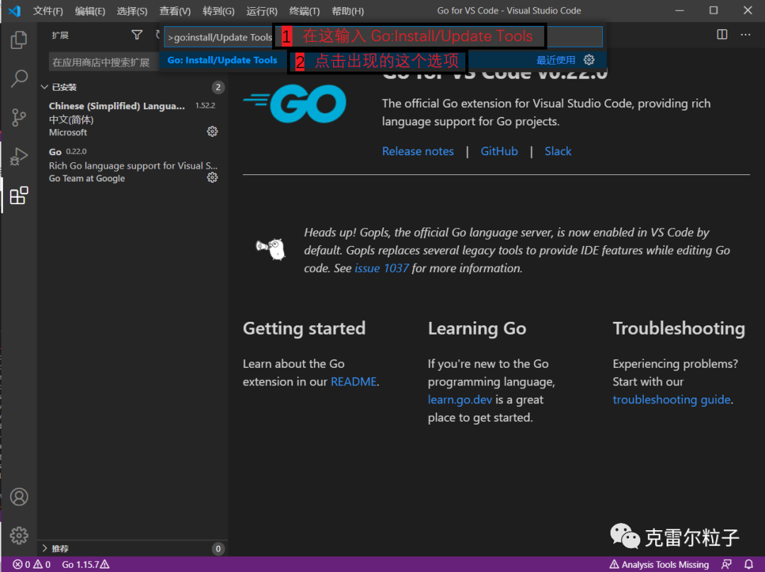 vscode每次打开都要重新设置utf8 golang语言编译器vs code的配置方法,全网最全最详细,...