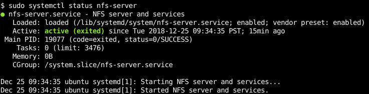 Check NfS Service Status