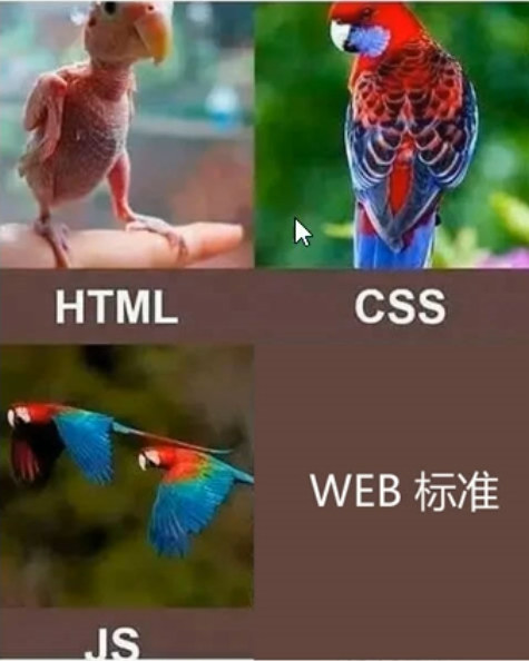 image-20210812182151608