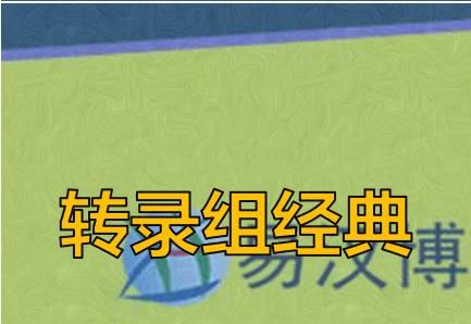 ccccc00d4f27d67253ca83c719746a50.jpeg