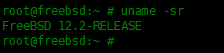 Examples of using the pkg package manager in FreeBSD Examples of using the pkg package manager in FreeBSD