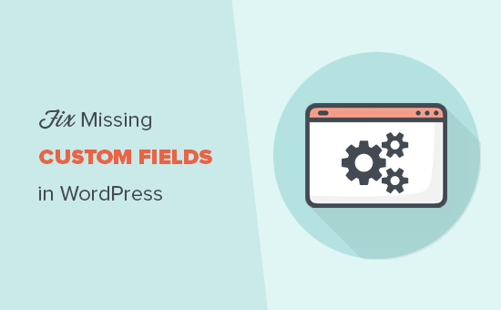 Fix missing custom fields in WordPress