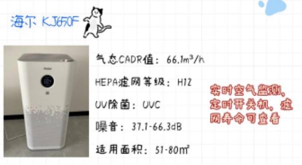 猫毛过敏不能养猫吗？宠物空气净化器帮你缓解猫毛过敏