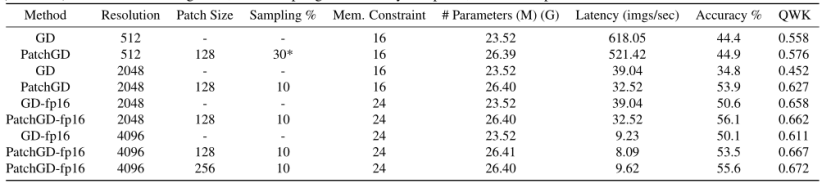 用于超大图像的训练策略：Patch Gradient Descent