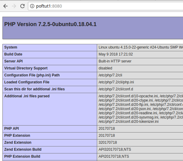 Run phpinfo On From Commmand Line with Php Web Server