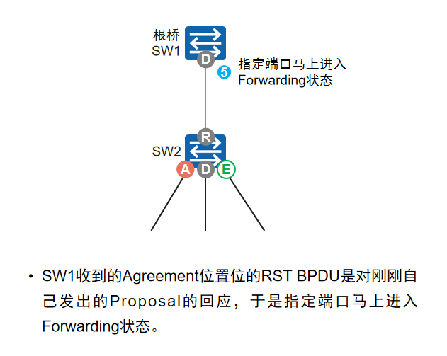 SW1收到A置位BPDU