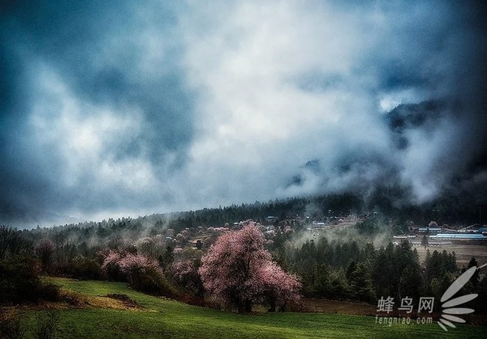 什么镜头最适合拍风景_不一样的视角 告诉你究竟什么镜头适合拍什么