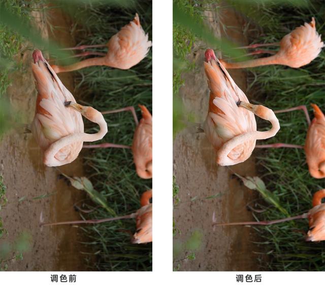 cdbd60278c260f770b6d25b0fdb4317e.png