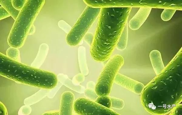 cdc6a97c34cedf550b6533e22dbdb9c6.png
