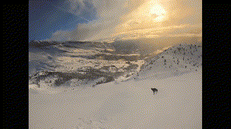 出现画面抖动怎么拍摄及利用好升格画面升格拍摄的3大误区你中招了吗