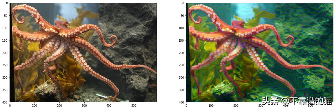elman神经网络 python实现_使用深度神经网络进行风格转换(Python实现)