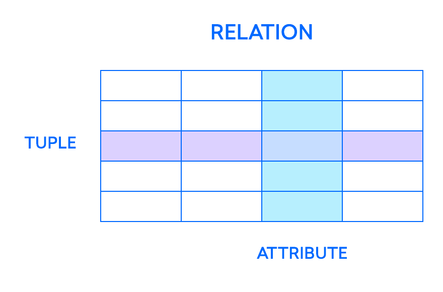 关系、元组和属性如何相互关联的图表示例