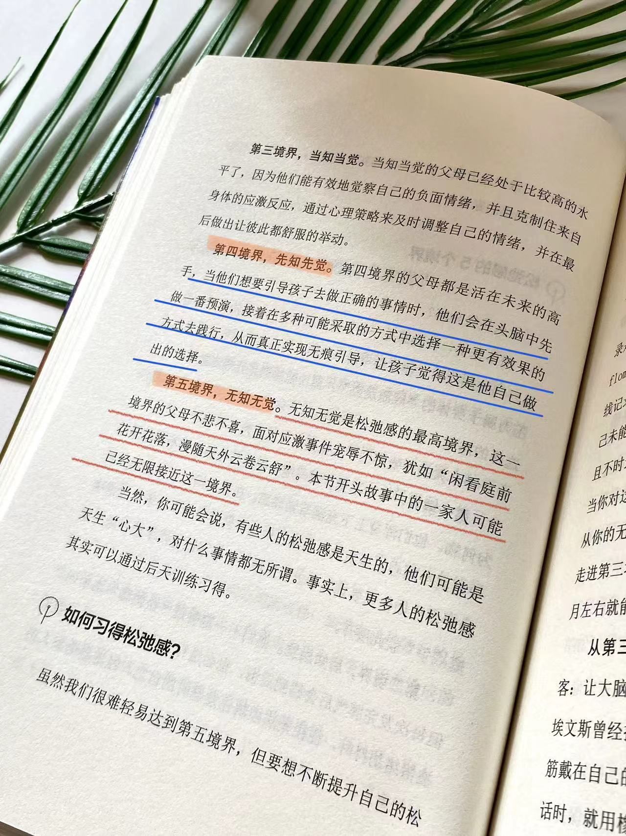 cded1c29e0e114f4a07e8068ff71329f.jpeg