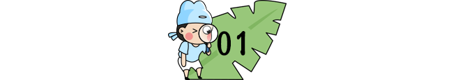cdedc3f2d653e0434c892bffac34a079.png
