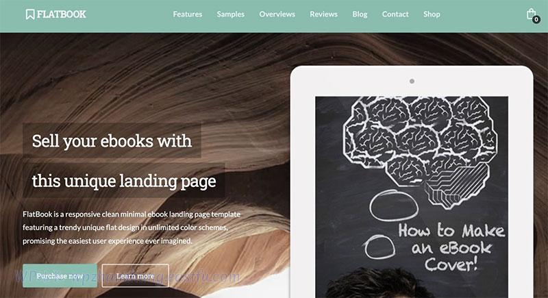 FlatBook 专门用于电子书网站。