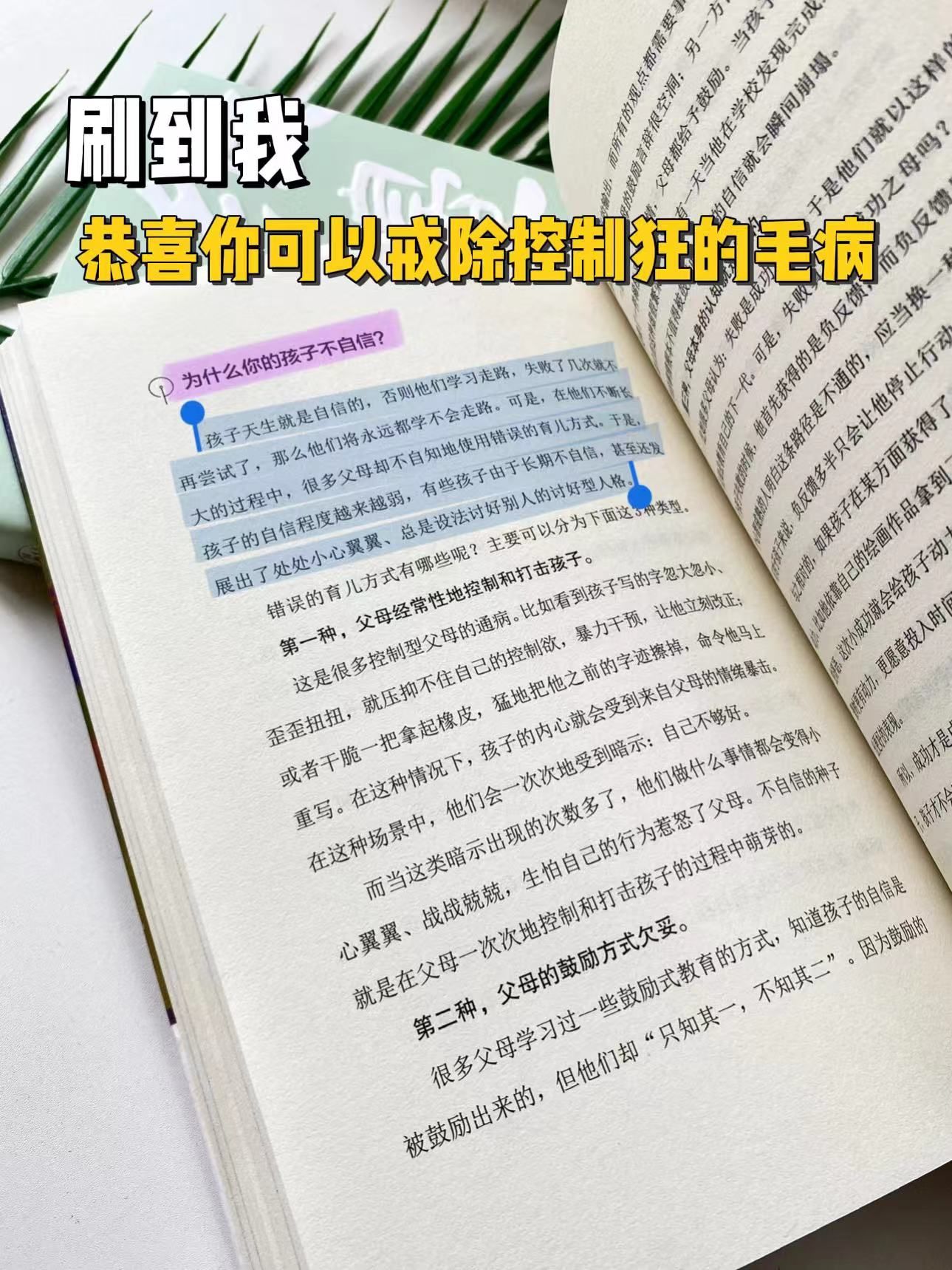 ce31916be26035a4850b487c43d57ebc.jpeg