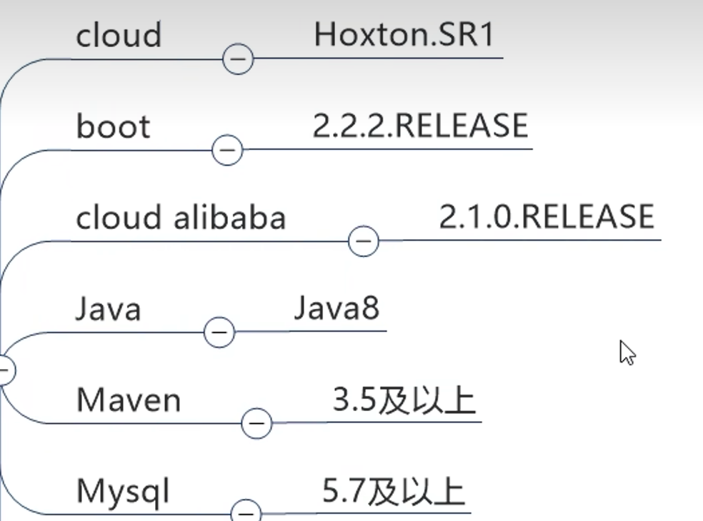 SpringCloud入门概述；微服务入门概述