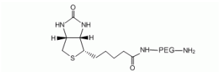 Amine-PEG-Biotin，MW：10000，Biotin-PEG10k-NH2，生物素-聚乙二醇-氨基 是一种有用的带有PEG间隔基的交联剂