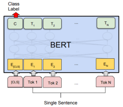 Bert structure diagram
