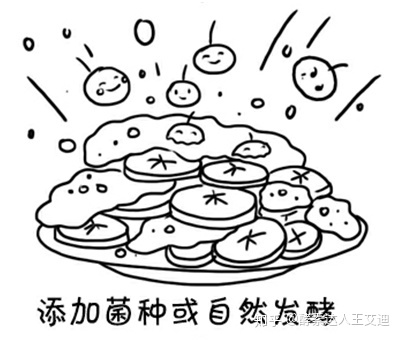的生物合成方式主要包括收藏食用酵素的主要发酵方式及微生物有哪些
