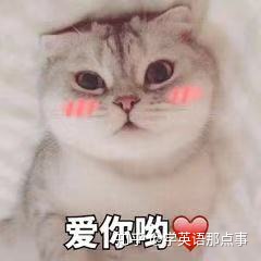 cebba95d9a3e14e487423e817fb57fe7.png