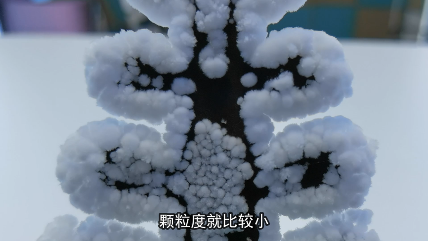 白雪纷纷何所似？撒盐空中差可拟的图7