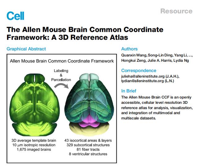 小鼠脑立体定位图谱重磅艾伦研究院发布单细胞分辨率水平的小鼠脑3d图