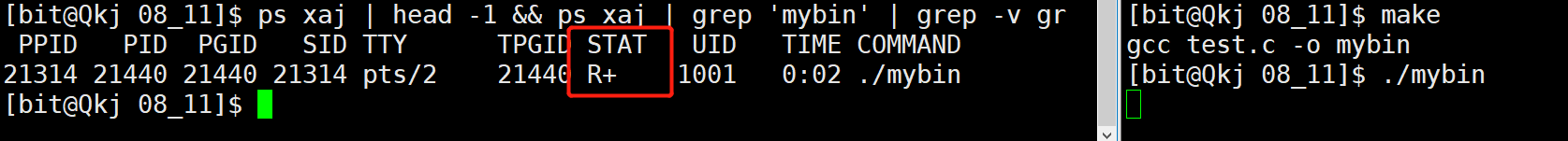 image-20220811205420206