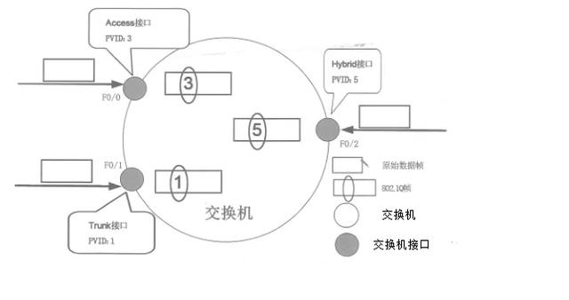 交换机槽口图解图片