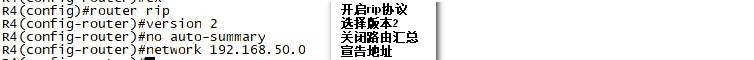 OSPF 高级设置实现全网互通_rip_10