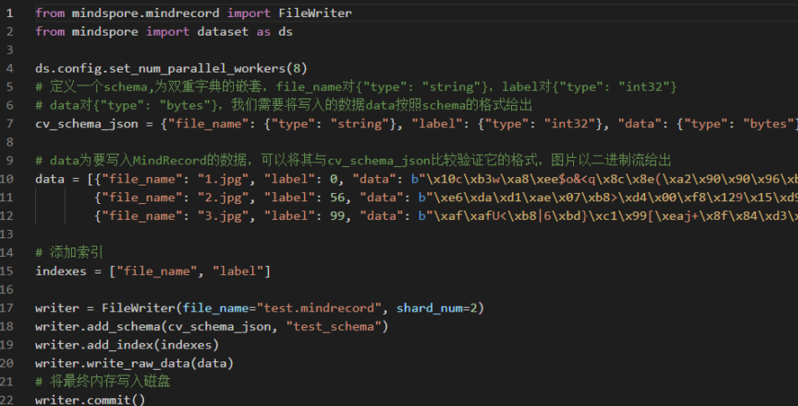 RuntimeError Failed Raising Error in MySQL Connector Python Troubleshooting and Solutions - MindRecord-WindowsUnexpected error. Failed to open file