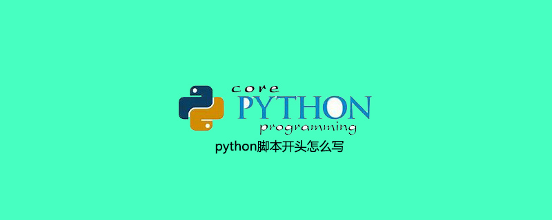 python脚本开头怎么写