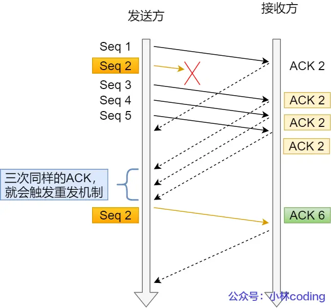 10.webp