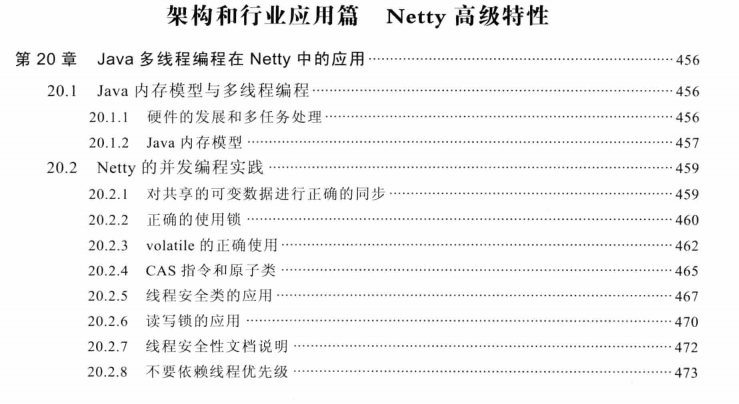 跪了！基于Netty构建高可用分布式系统：实战+源码+落地项目