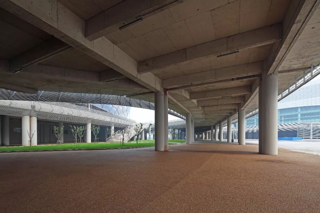 大连开发区中老年运动微信群_梅洪元作品:大连市体育中心体育场