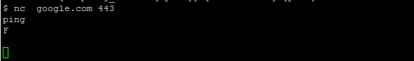 Ping Remote Port with Netcat