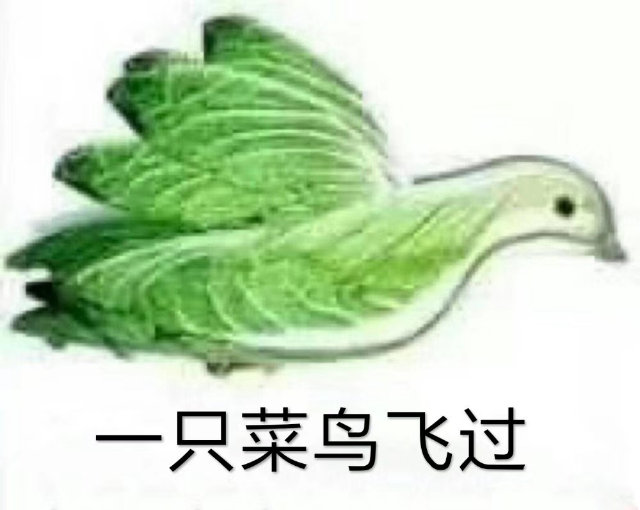 菜鸟