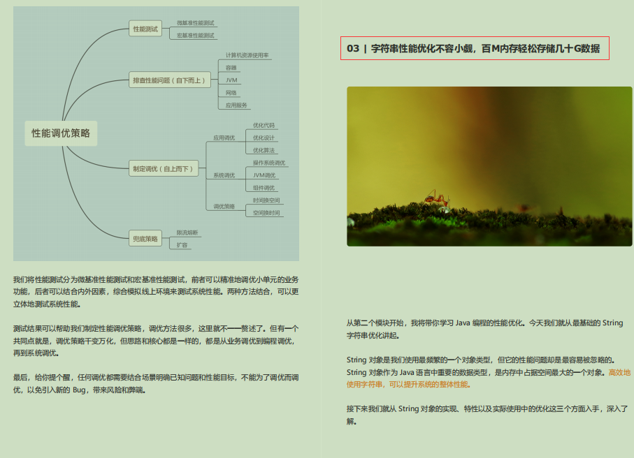 Absolutely!  It took 57 days to complete 878 pages of Java performance optimization notes and successfully entered Meituan