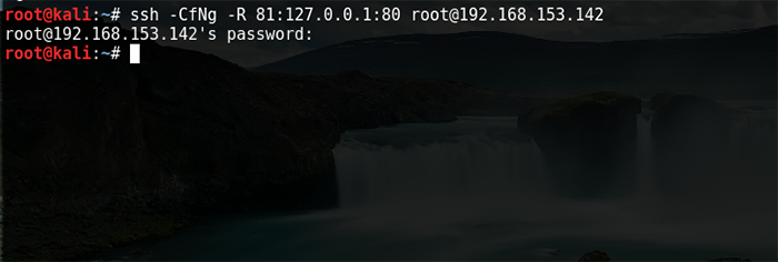 cfddc8c92582770db3d5f69f457bb5ba.png