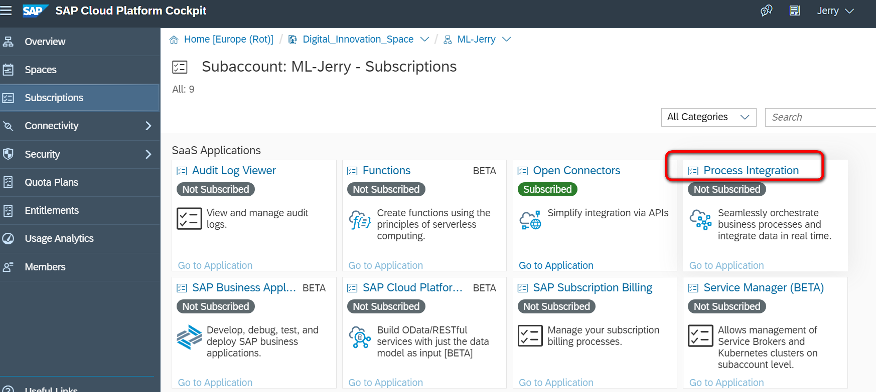 SAP 云平台 (Cloud Platform) 架构概述