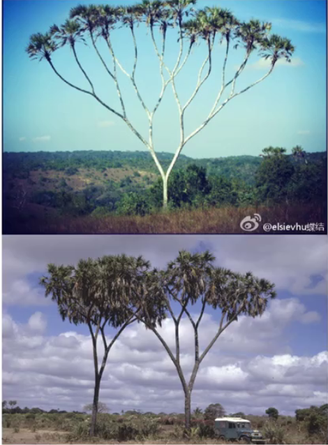 image-20220401162420964