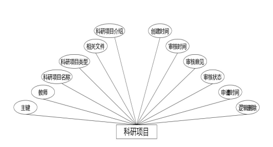 C:\Users\Administrator\Desktop\img\keyangongzuoliang\科研项目.jpg