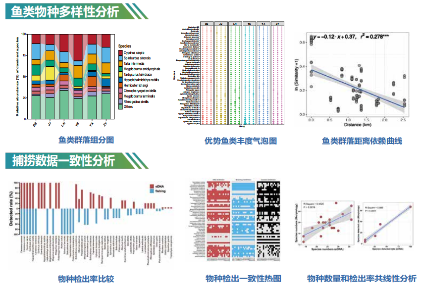 更大的数据库，更多的分析内容！凌恩明星产品鱼类eDNA产品再次大升级！！