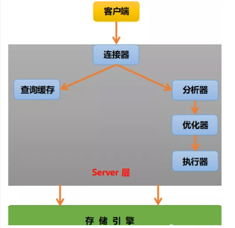 image-20220314163027673