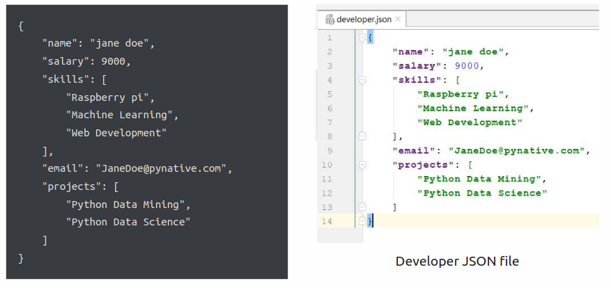 developer.json