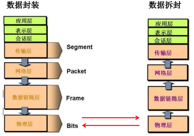 image-20210203171636628