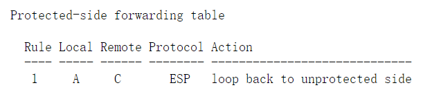 rfc4301- IP 安全架构