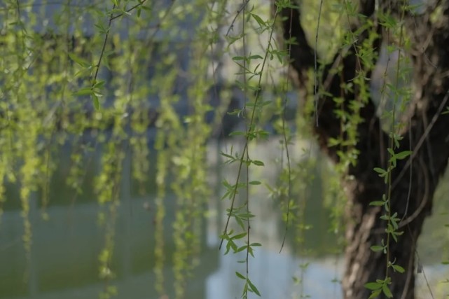 河海大学计算机与信息学院怎么样,河海大学信息学部怎么样？好不好？