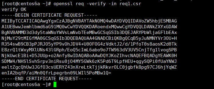 openssl查看证书公钥 openssl 验证证书和密钥_证书_03