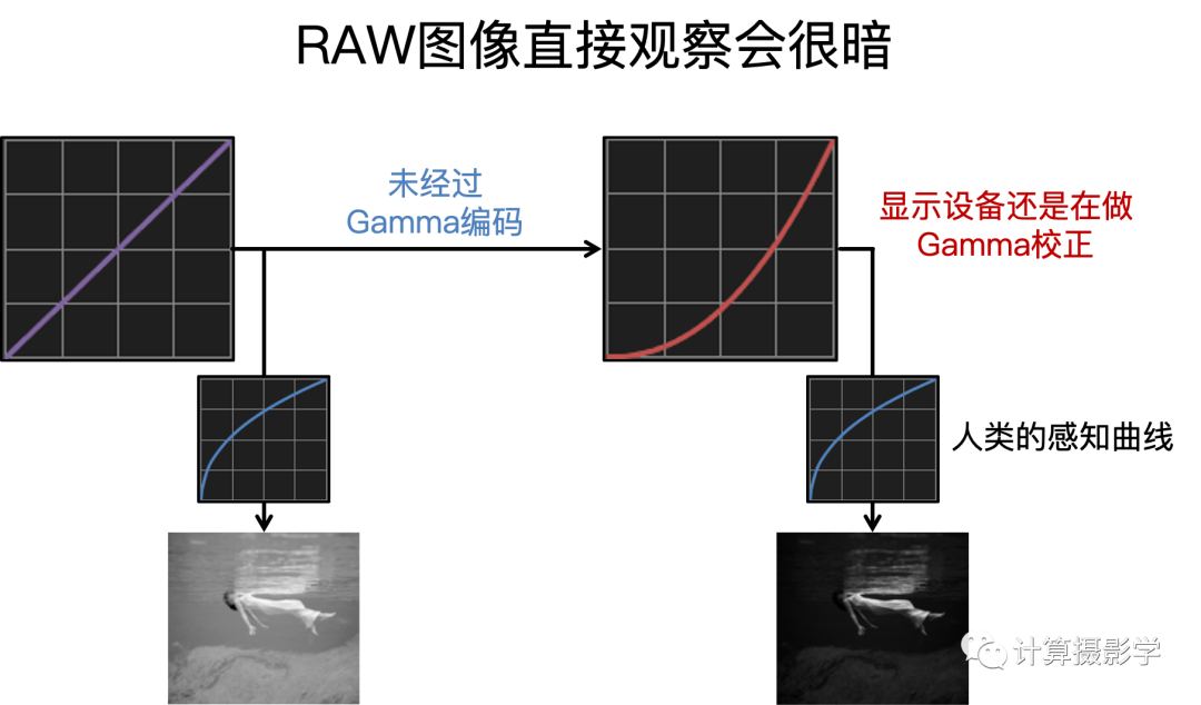 图像Gamma校正